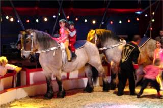 In der Pause konnten die Geschwister einmal durch die Manege traben.