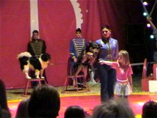 Auch Hundedressur stand auf dem Programm. Einzeln ...