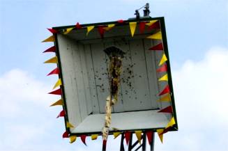 Die beiden zerlegten den Vogel Schuss um Schuss. Spannender konnte es sich das Publikum nicht wünschen.