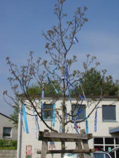Frühlingstag in der Grundschule unterm Regenbogen (2004)