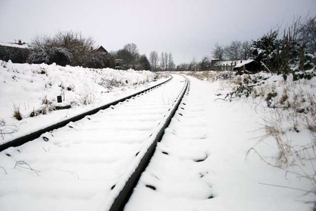 Alfen in Weiß (2005)