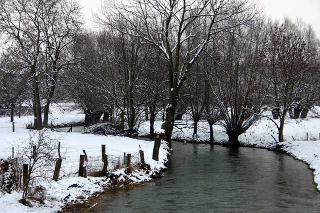Alfen in Weiß