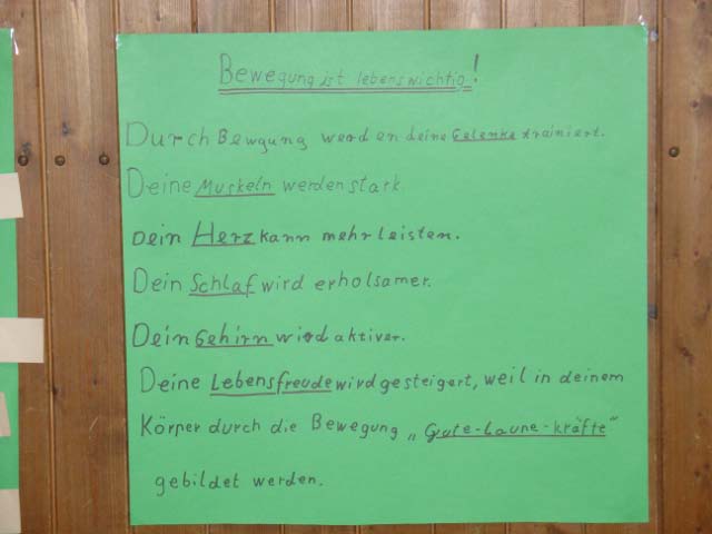 Neben der Praxis wurde auch die Theorie erläutert.