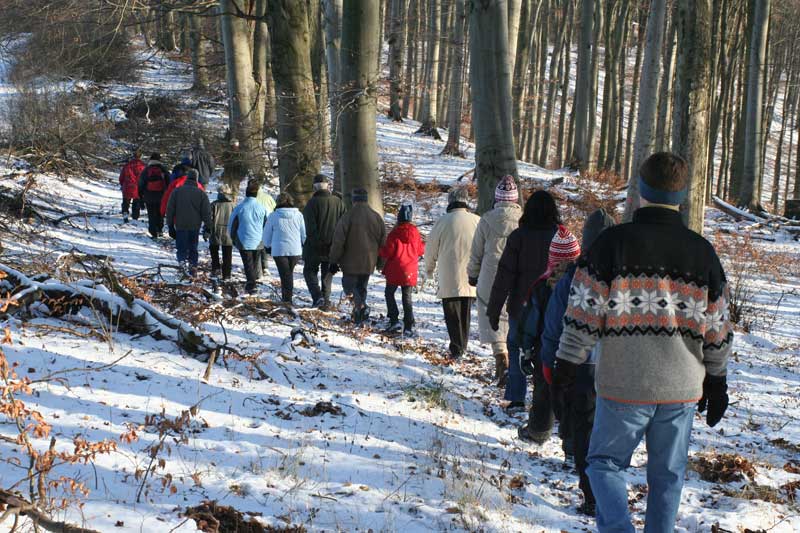 Vogelstimmenwanderung des UKA (2006)