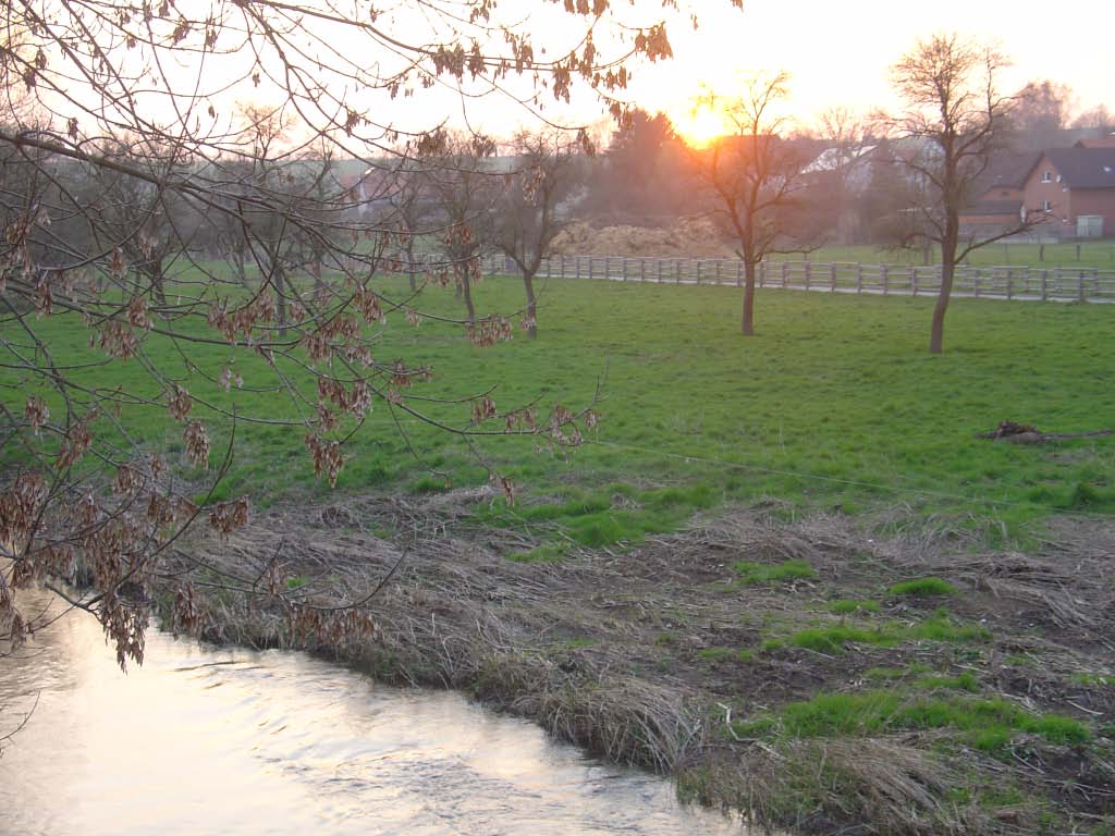 Das Osterfeuer 2007 war wieder in den Almewiesen hinter Westermeyers Hof vorbereitet