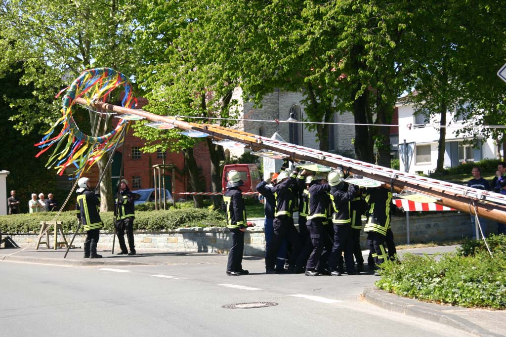 Aufstellen des Vereinsbaumes (2007)