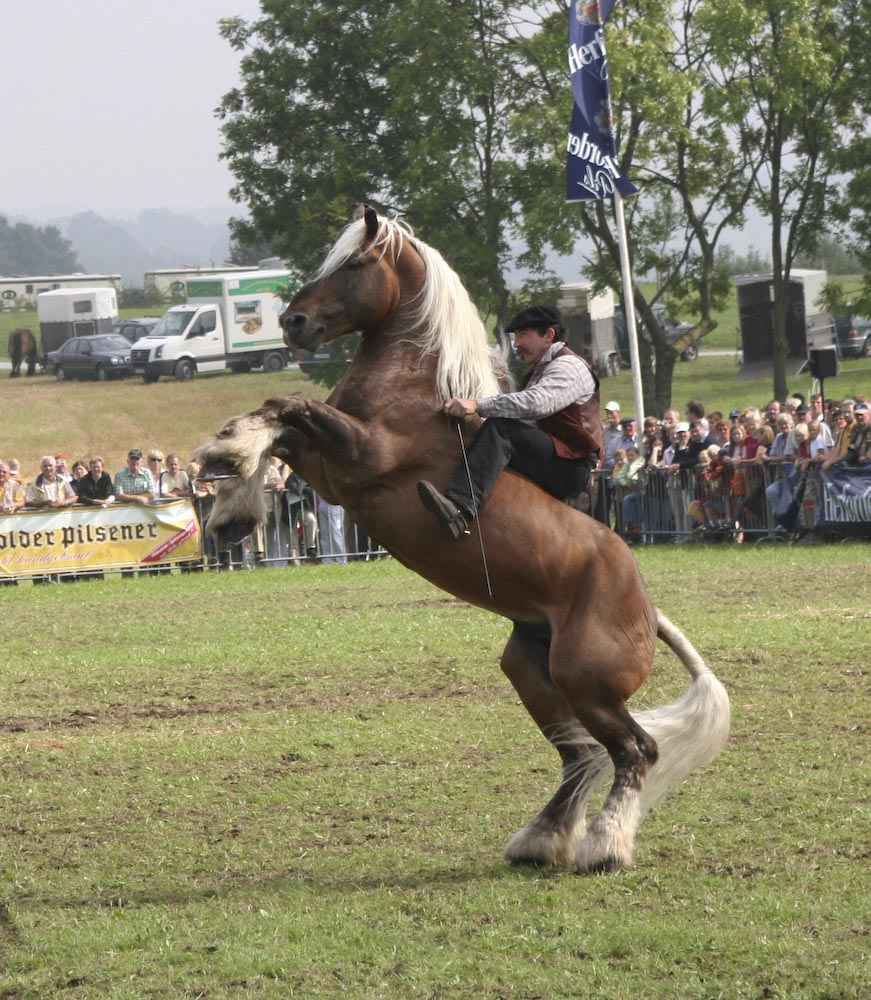PferdeStark im Freilichtmuseum Detmold (2007)