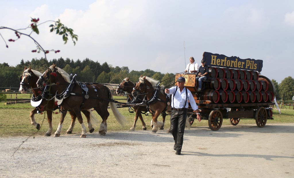 PferdeStark im Freilichtmuseum Detmold (2007)
