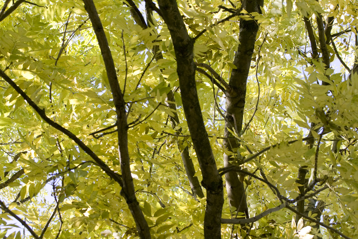alfen-herbst-18