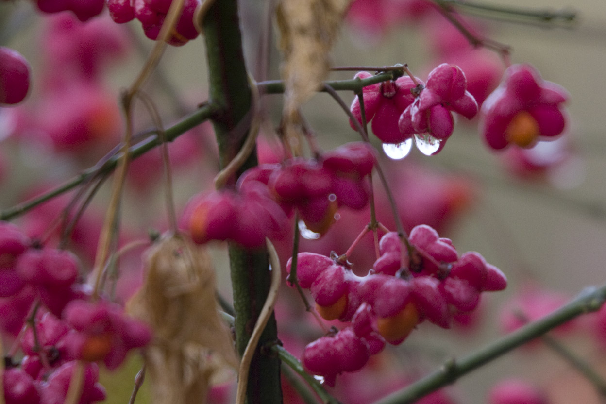 alfen-herbst-24
