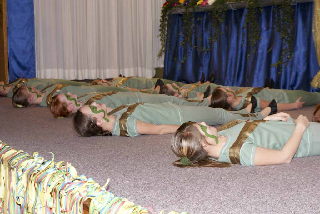 <p>Die Karnvalszicken der kfd feiern mit den Alfener Weibern Weiberfastnacht</p>