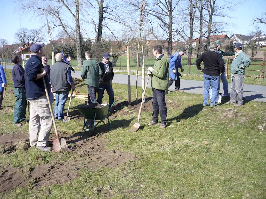 <p>Winterlinden am Siekenweg</p>