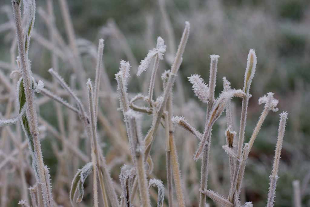 ticker-2009-12-29-007