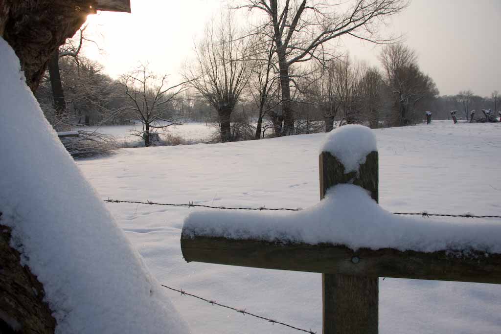 Wanderung im Schnee