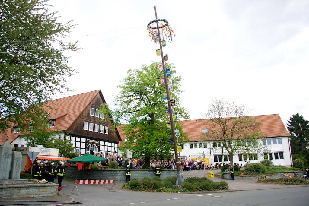 <p>Langsam und vorsichtig wurde der Baum aufgerichtet</p>
