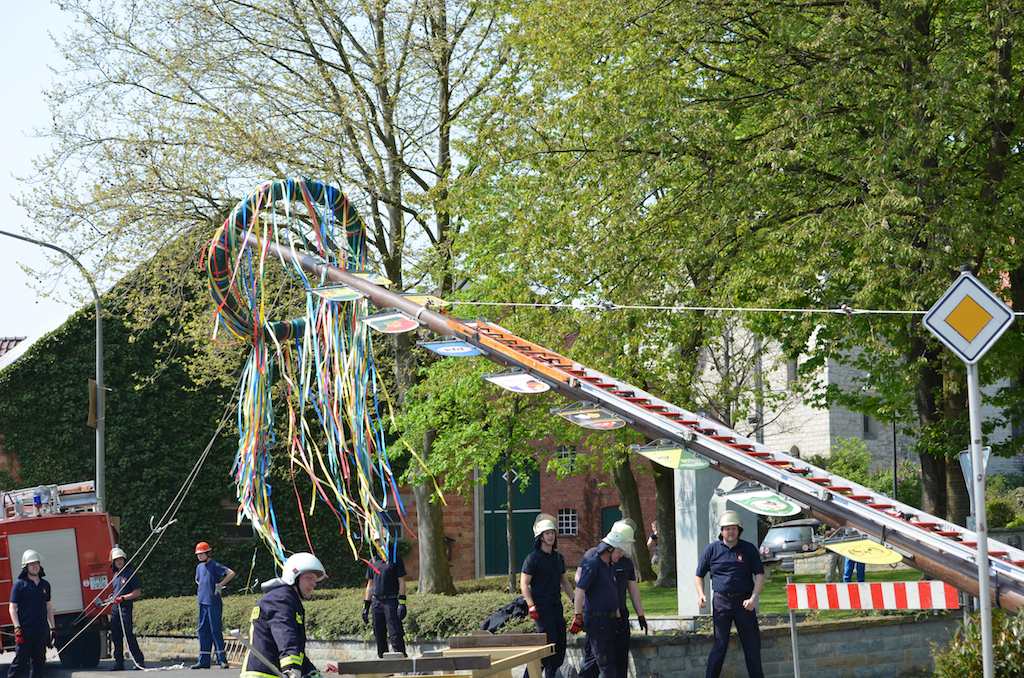 <p>Vereinsbaum aufstellen</p>