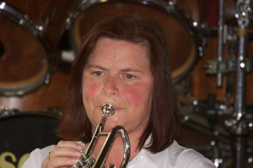 <p>Der Musikverein Alfen beim Schützenfest in Altenrüthen</p>