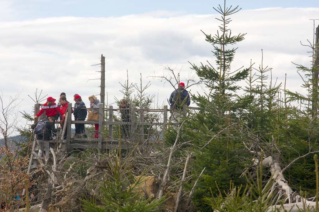 <p>Auf dem Rückweg nach Willingen wurde ein Zwischenstop im Kyrillpfad eingelegt</p>
