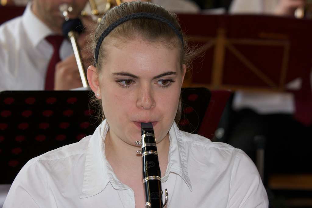 <p>Der Musikverein Alfen beim Schützenfest in Altenrüthen</p>