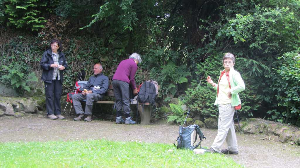 <p>Bei angenehmen Temperaturen und Sonnenschein machten sich 10 Wanderinnen und 5 Wanderer auf den Weg um das Quellgebiet der Alme zu erkunden.</p>