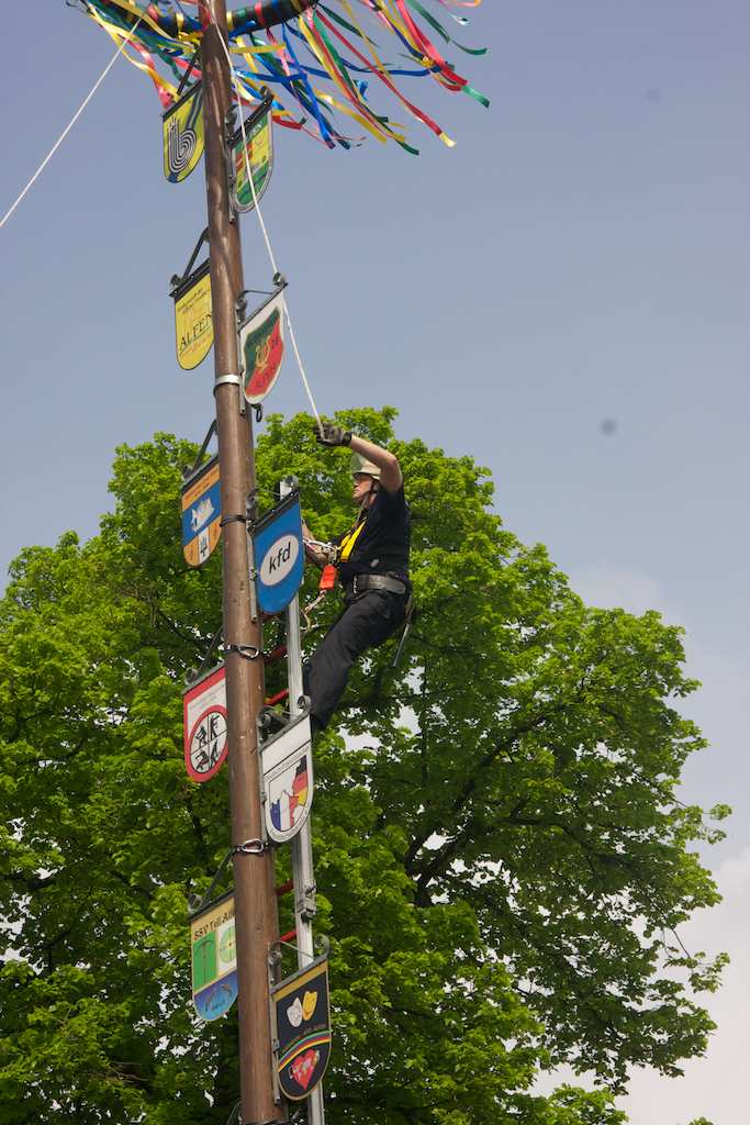 <p>Aufstellen des Vereinsbaums</p>