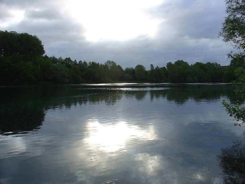 DSC03164