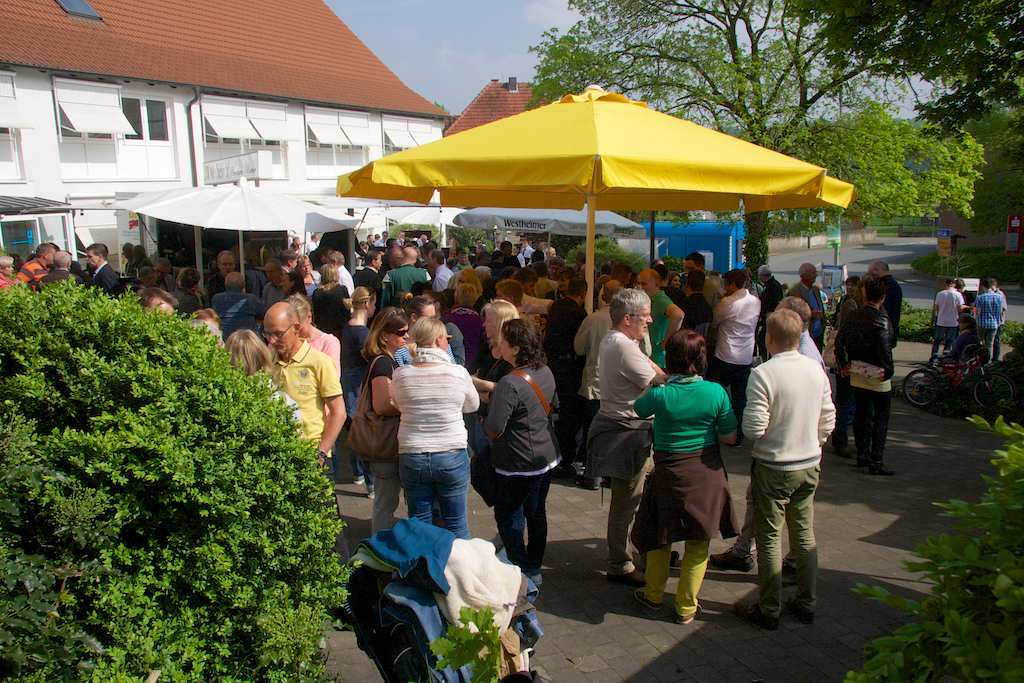 <p>Aufstellen des Vereinsbaums</p>