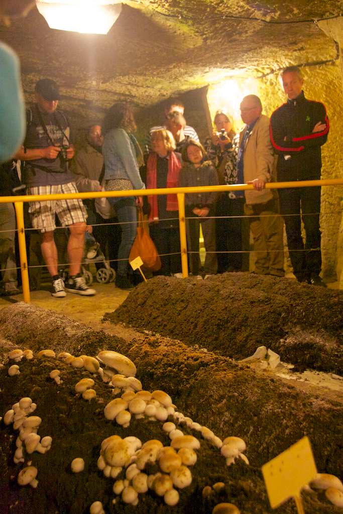 <p>Da Pilze es gern dunkel und feucht lieben sind wir in eine große Höhle eingestiegen.</p>
