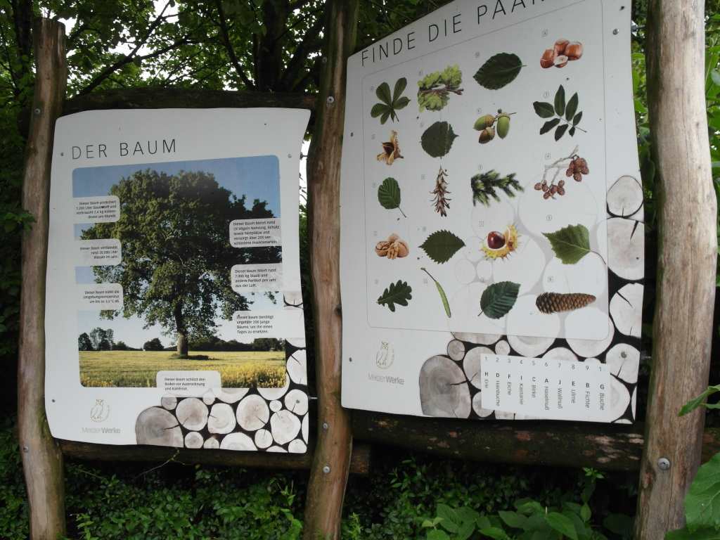 <p>Juni-Wanderung der Wanderfreunde des SV RW Alfen</p>