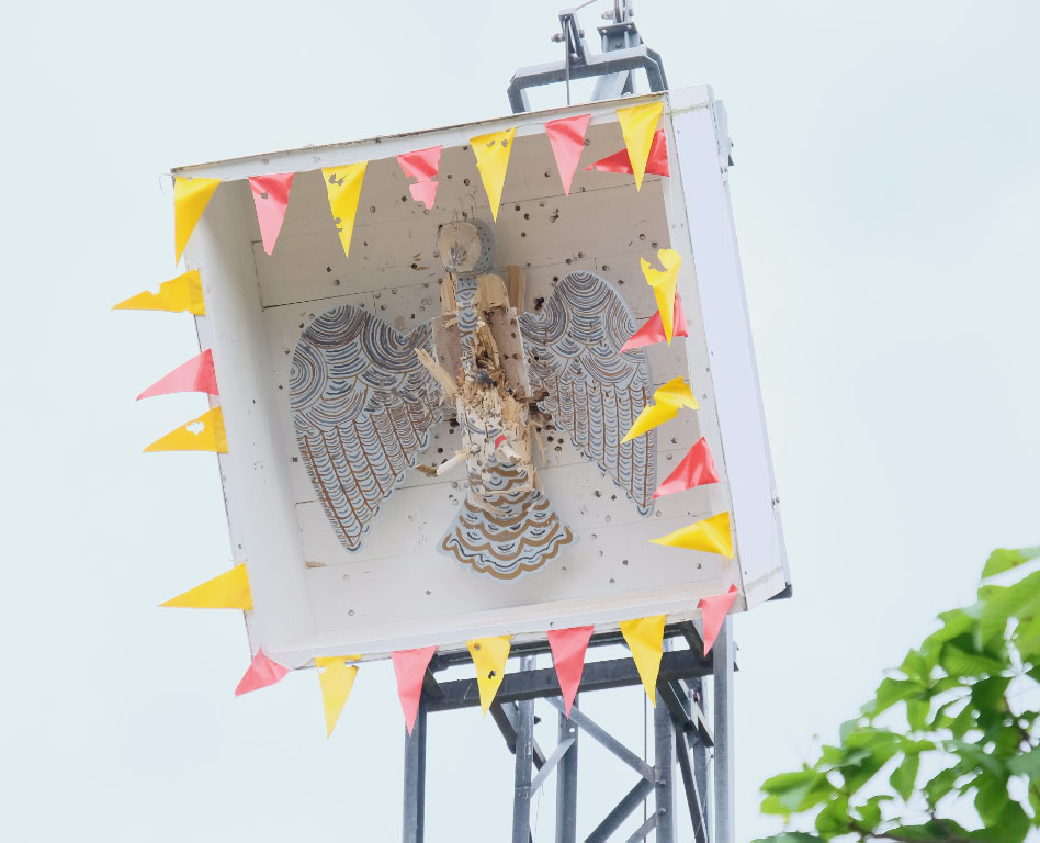 <p>nach und nach ließ der Vogel Federn</p>
