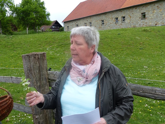 P1000693