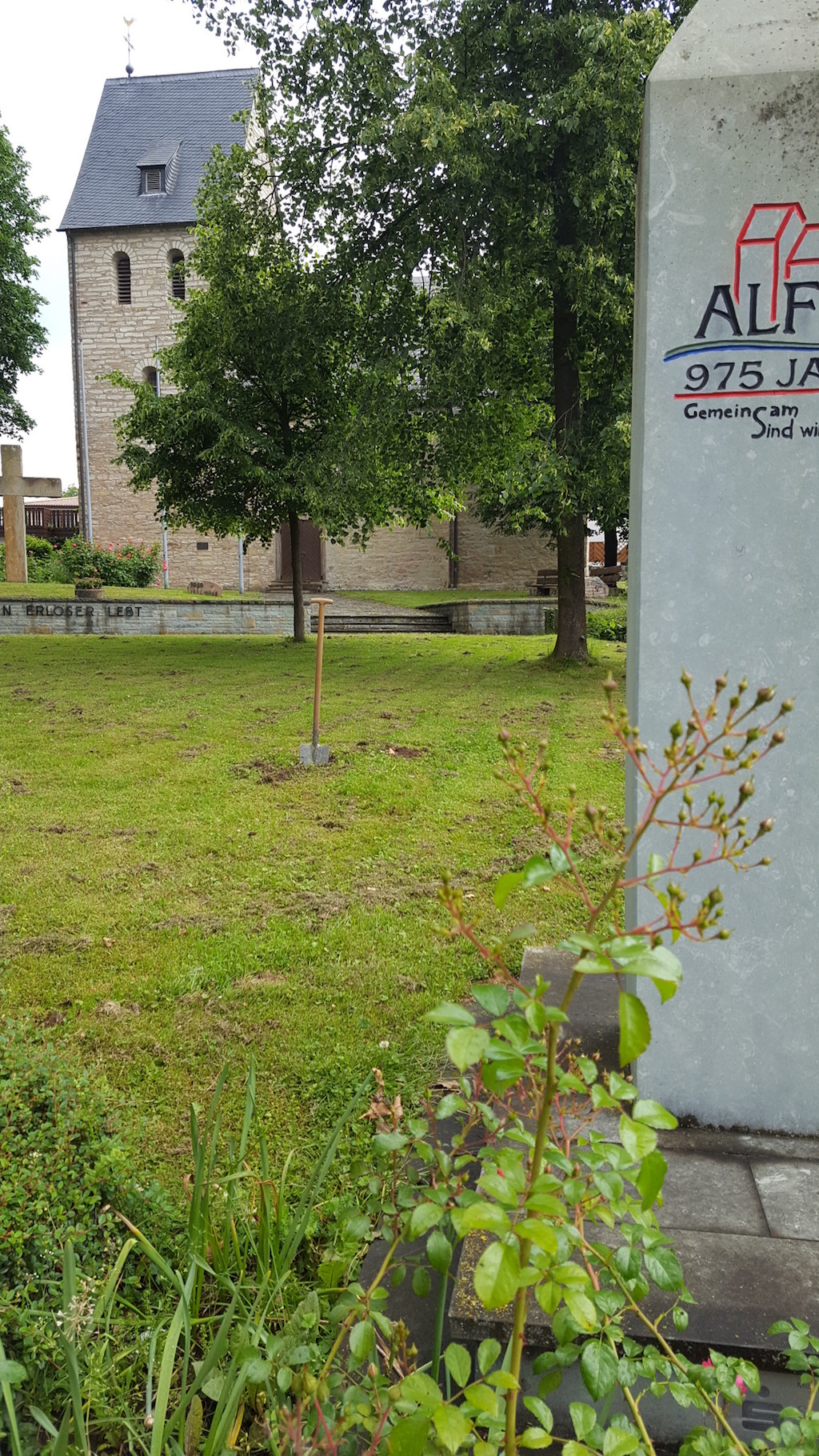<p>Dies war die Stelle an der der Baum umgepflanzt wurde</p>