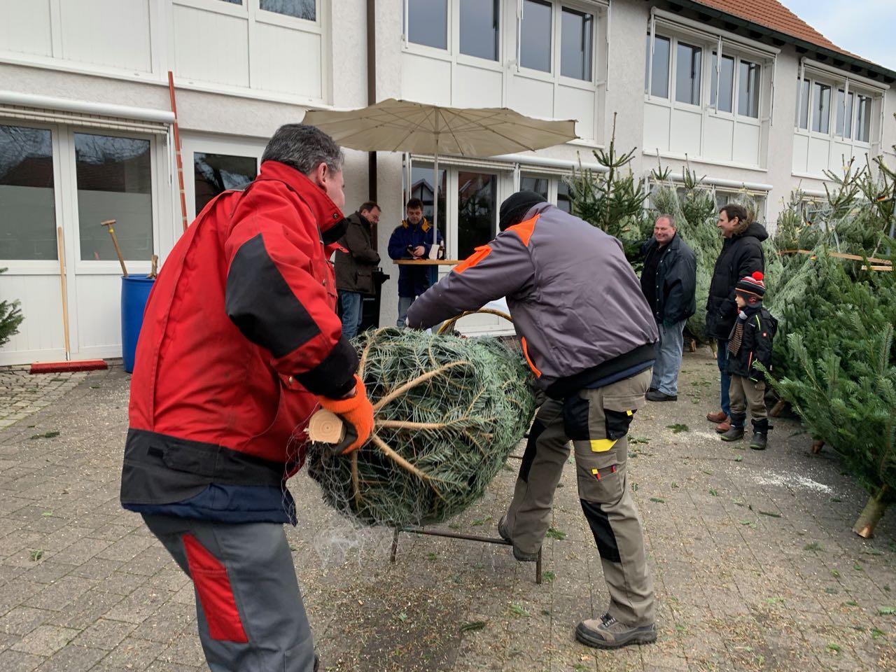 <p> Weihnachtsbäume aus dem Sauerland</p>