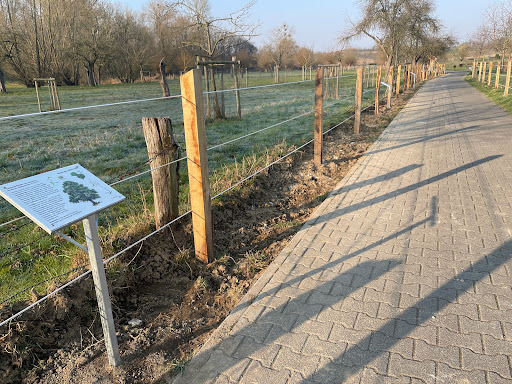 Alfen-April-2022-2