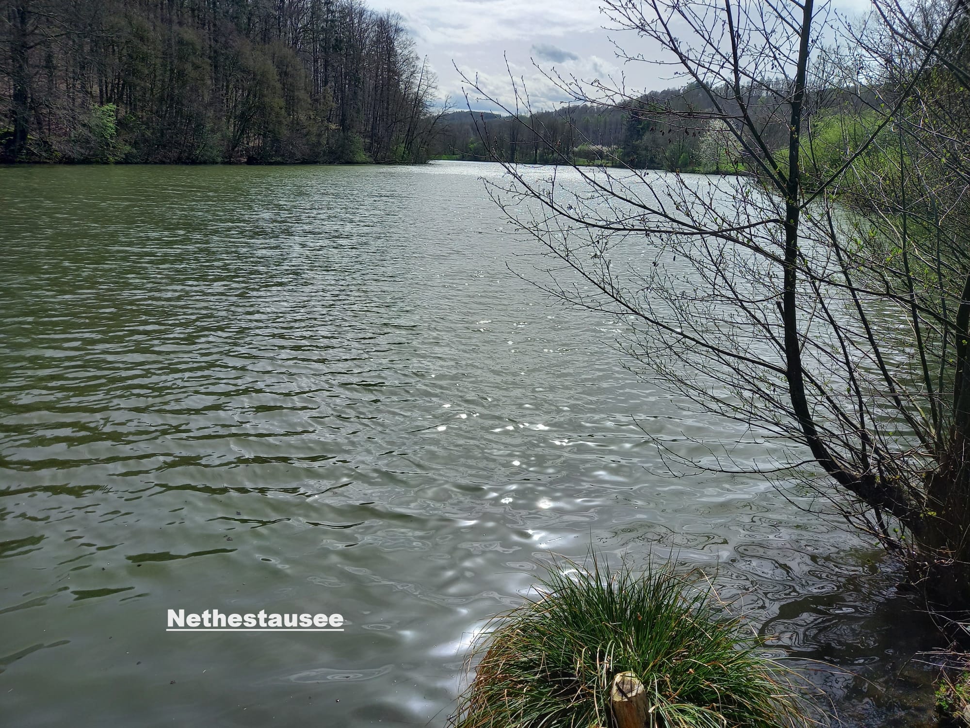 IMG-20240409-WA0019
