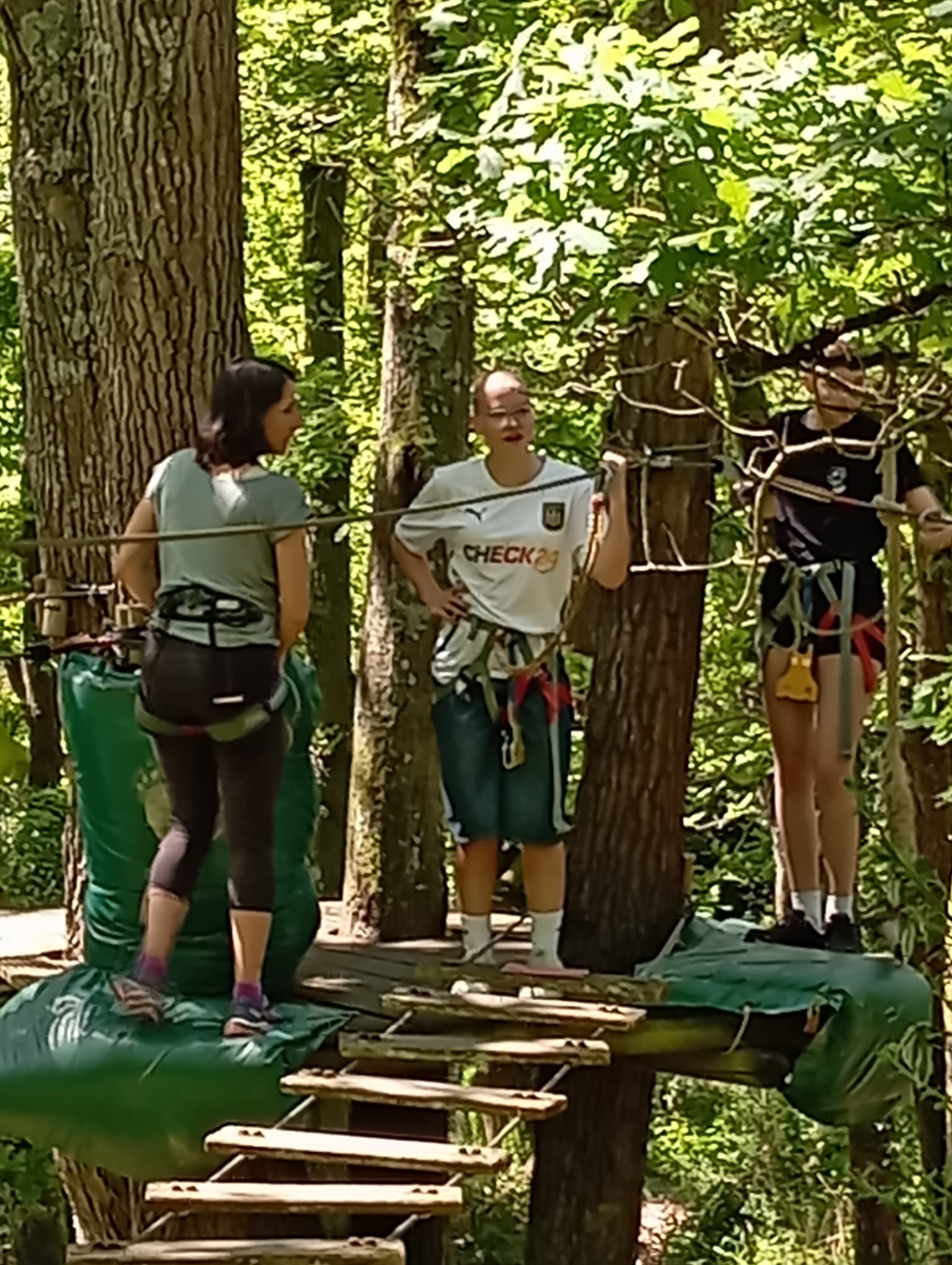 <p>Im Kletterwald</p>