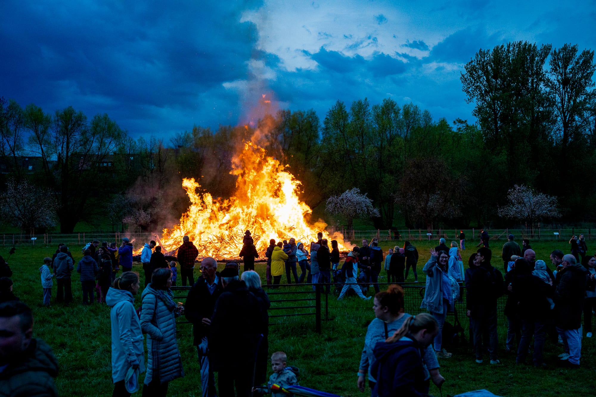 20250420-DSC02952
