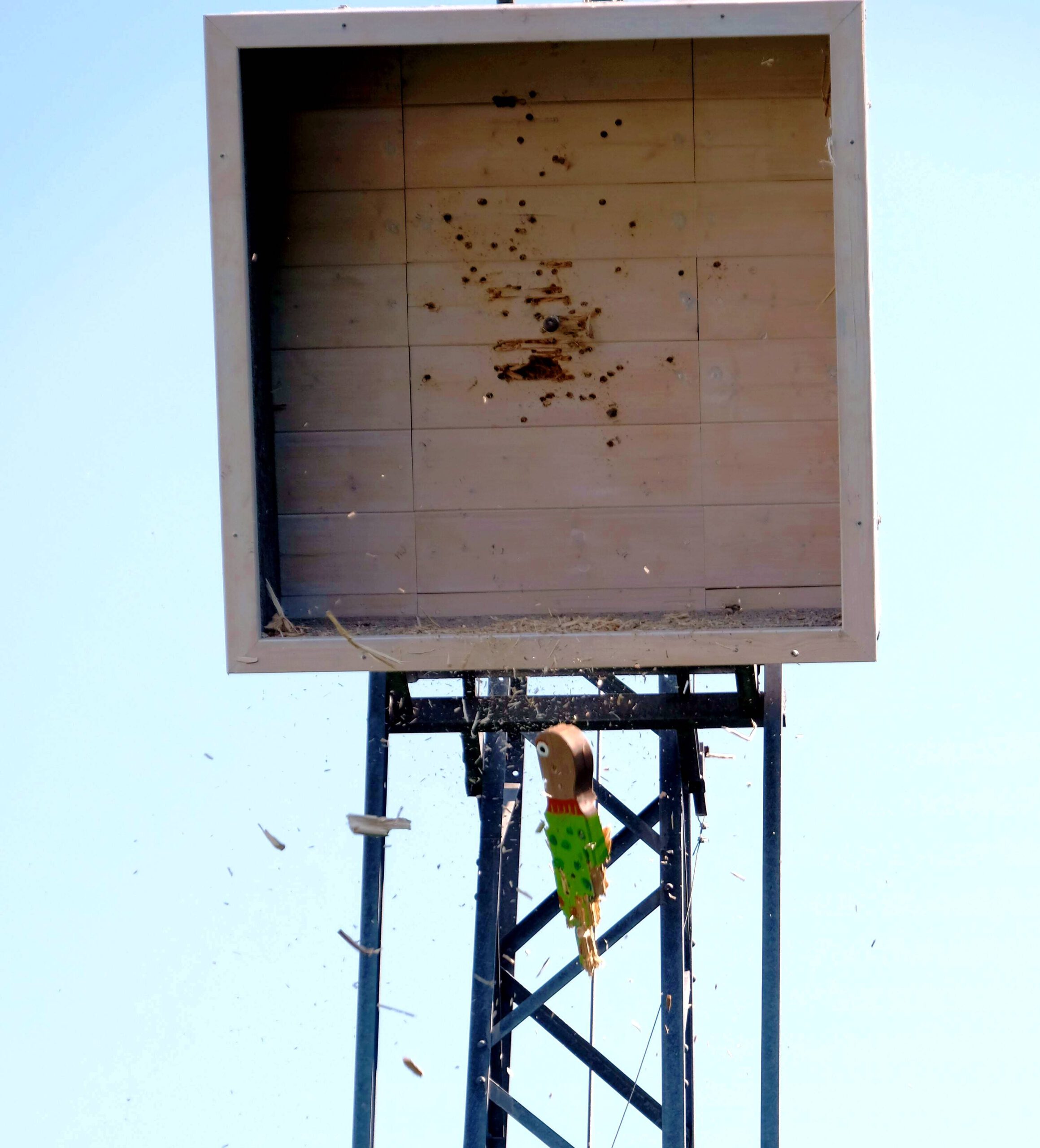 <p>und der Rest des Vogels stürzt zu Boden </p>