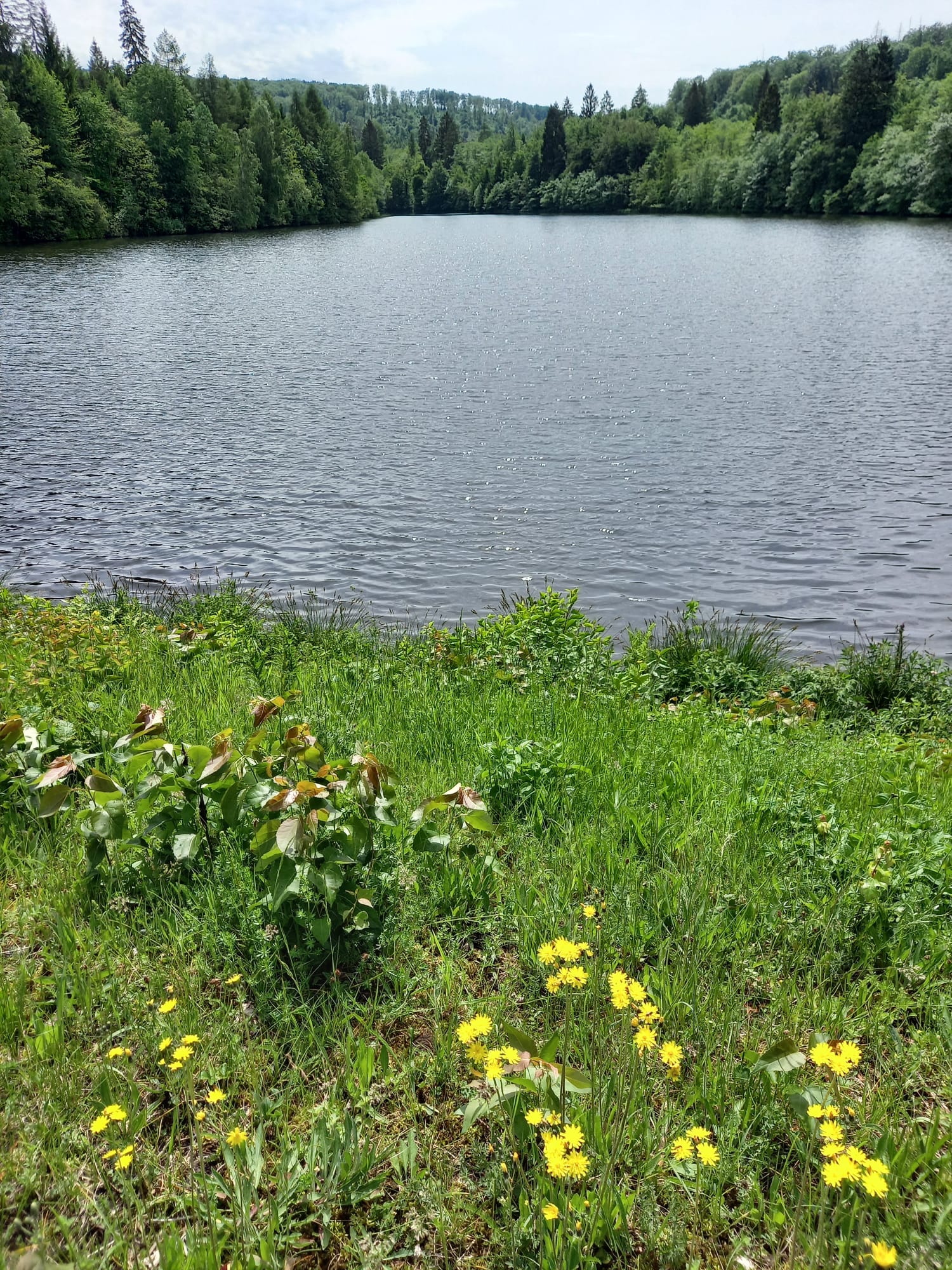 IMG-20260531-WA0016